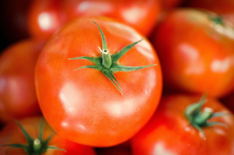 토마토 다이어트 - 체중 감량 방법 3가지