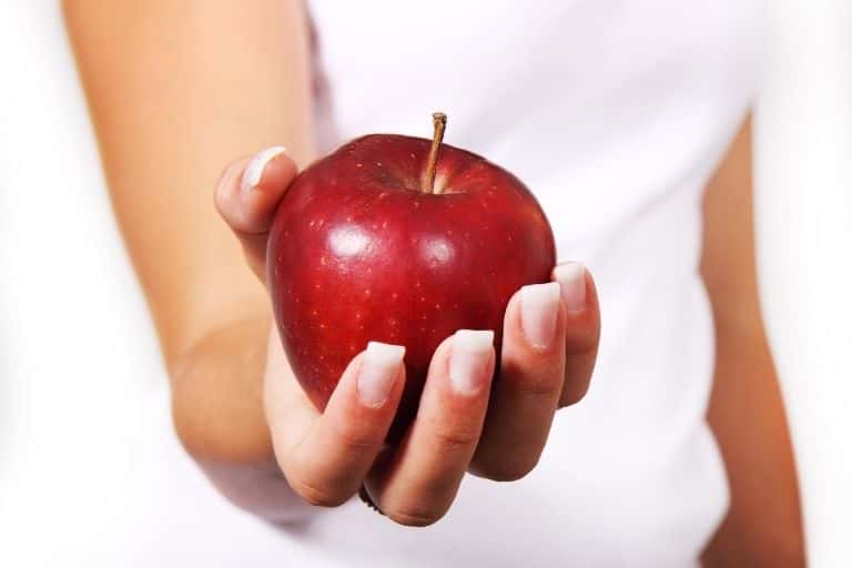 공복에 사과 다이어트 - 효과적인 이유 6가지