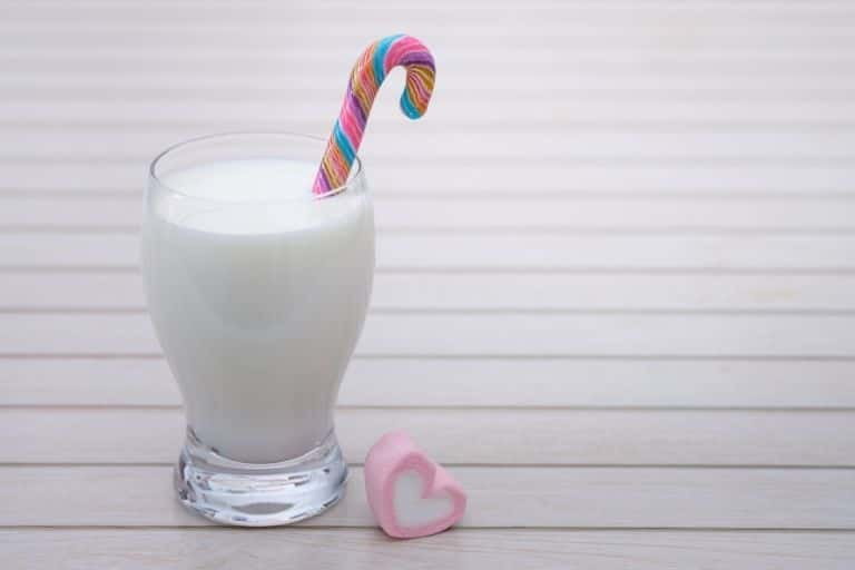 우유 칼로리 및 다이어트에 효과적인 이유 3가지