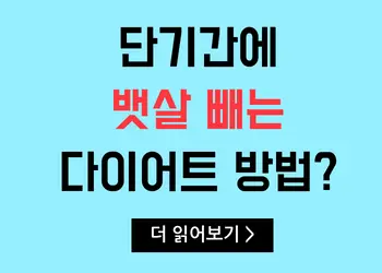 단기간에 뱃살 빼는 다이어트 방법