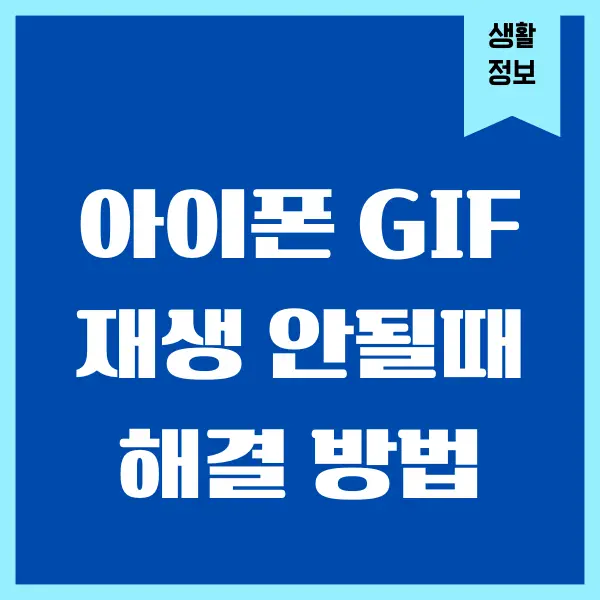 아이폰 GIF 재생 안됨 해결하는 방법, 동영상 재생하기