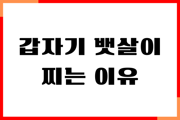 갑자기 뱃살이 찌는 이유, 뱃살 쉽게 빼기