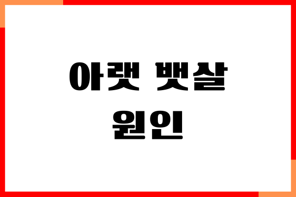 아랫 뱃살 원인 및 뱃살 빨리 빼는 방법