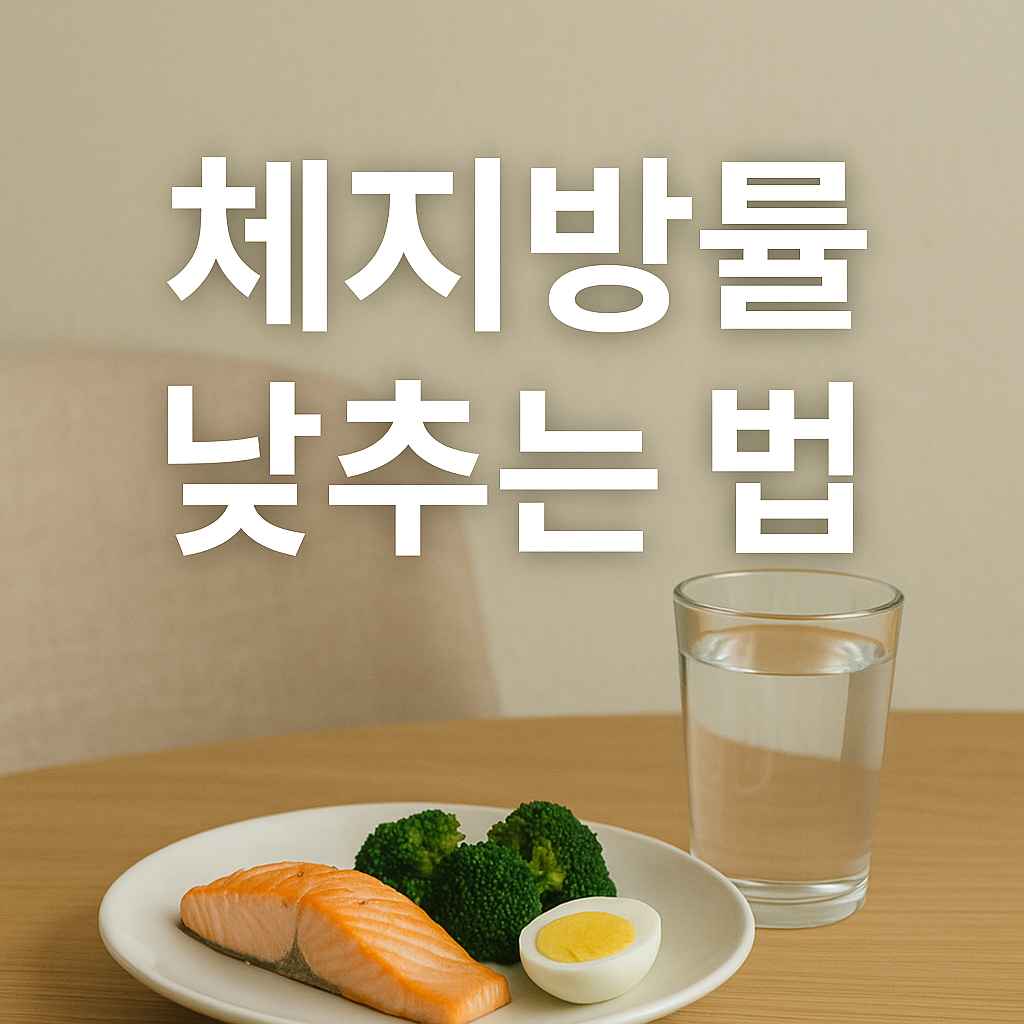 체지방률 낮추는 법, 진짜 해본 사람으로서 진짜 후기