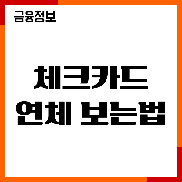 체크카드 연체 보는법, 연체 대처법, 효과적인 관리