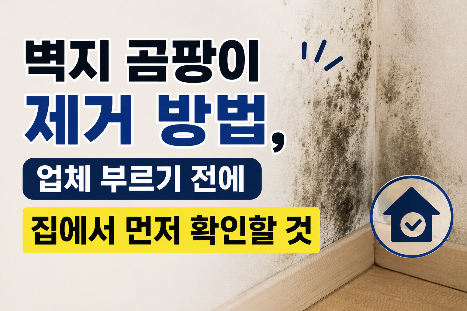 벽지 곰팡이 제거 방법, 업체 부르기 전에 집에서 먼저 확인할 것