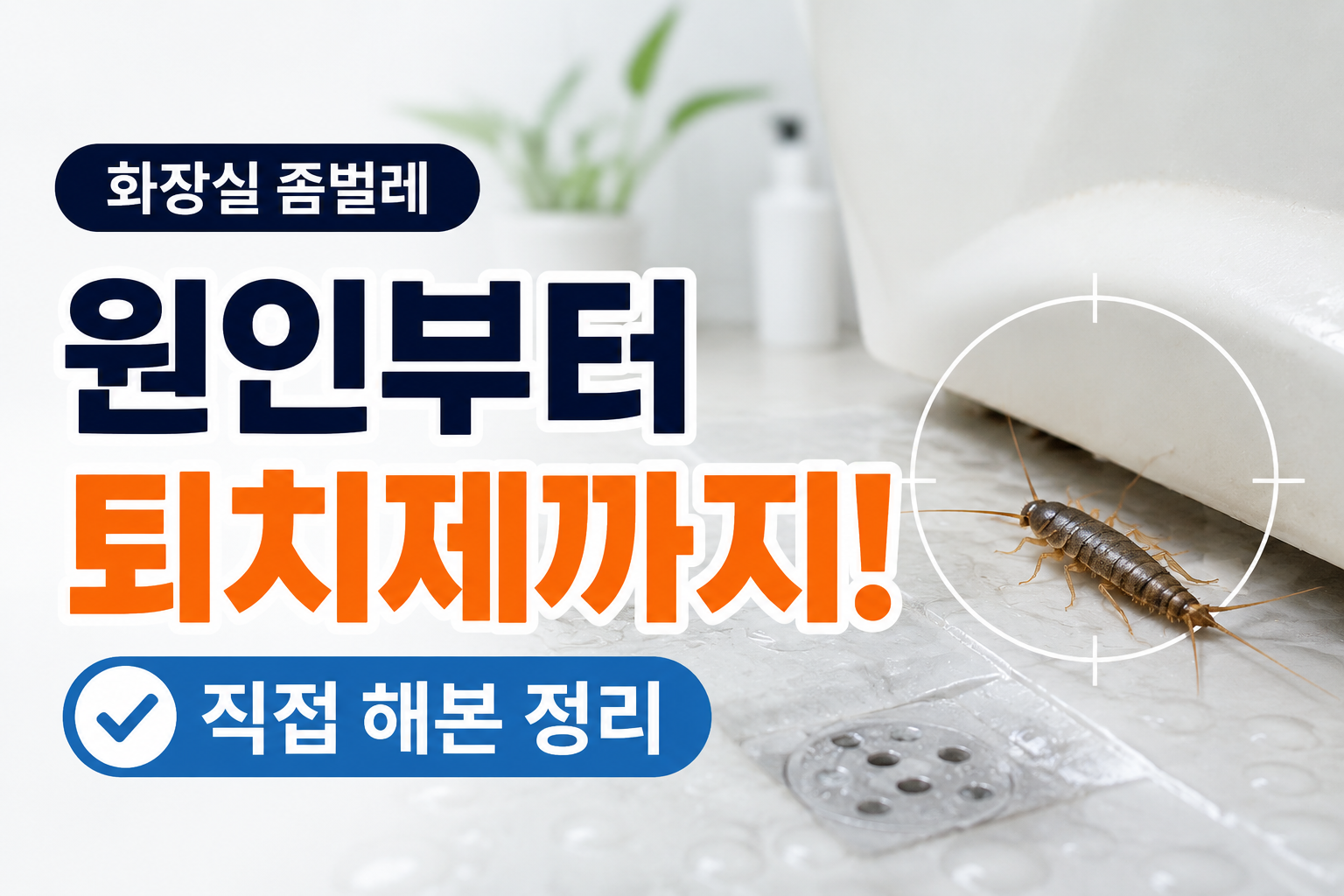 화장실 좀벌레, 왜 계속 나올까 원인부터 없애는 순서까지 정리